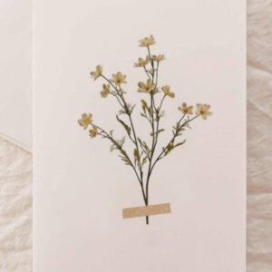 product_bfcm_4.2