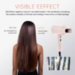 PROFESSIONAL HIGH SPEED HAIR DRYER
