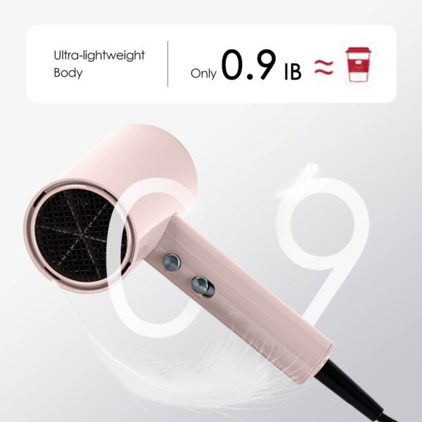 PROFESSIONAL HIGH SPEED HAIR DRYER